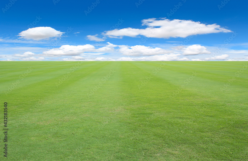 green grass field and blue sky with clouds