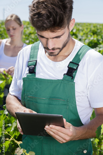 young male farmer using tablet in the vineyard