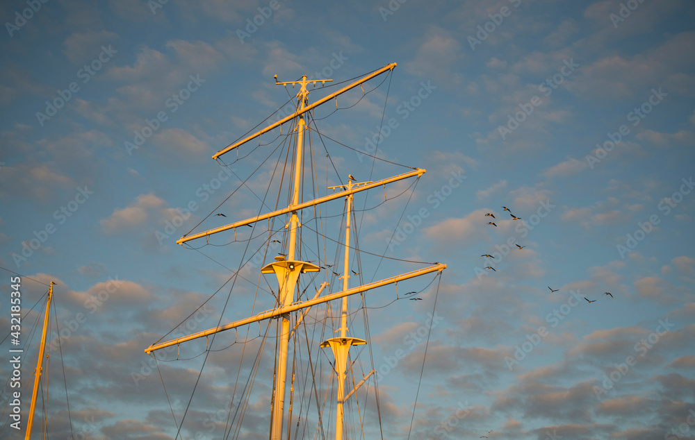 Fototapeta premium Yellow sailing boat masts and a blue sky with birds flying by 