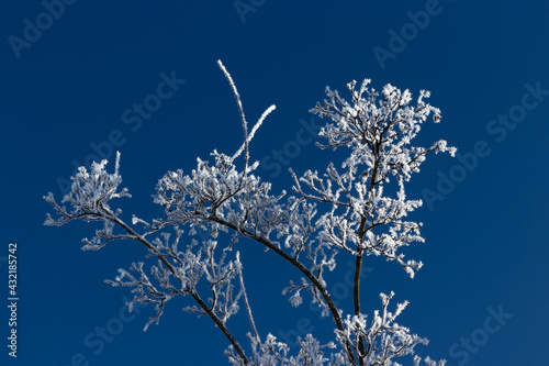 Sachsendorfer Wiesen, Winter, Cottbus, Brandenburg, Germany