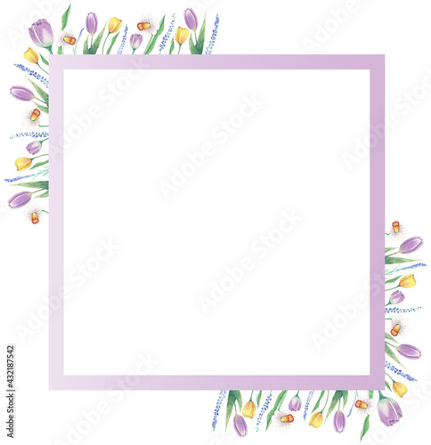 Aquarelle floral copy space frame with flowers around the square. Watercolor hand painted square greeting card for wedding, easter, birthday, holidays. Frame with purple tulips.