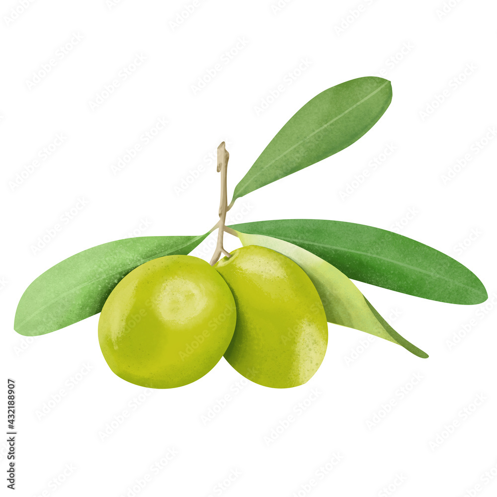 olives with leaves digital drawing
