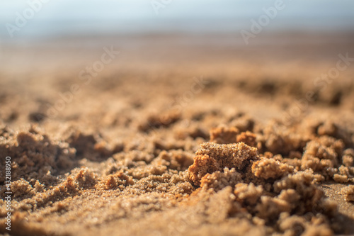 texture of a sandy soil