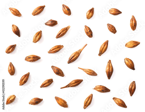 collection of single roasted barley tea, isolated on white, top view