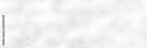 Abstract White Gray background. Blur neutral backdrop. Lecture, seminar, symposium, workshop, conference or briefing presentation template. White vector illustration