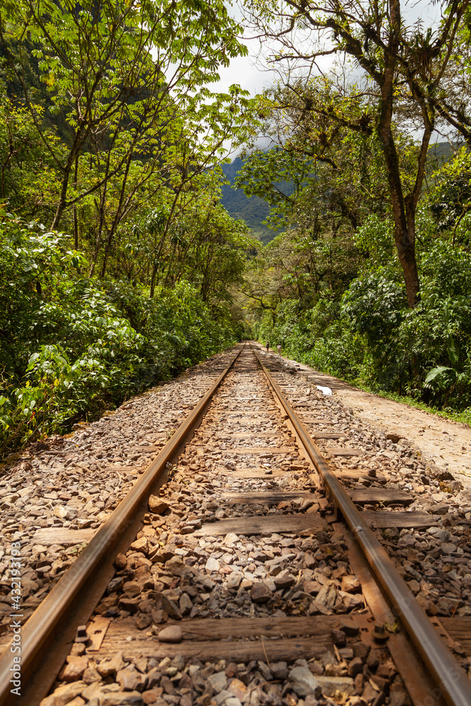 Old and rusty train tracks, along the Urubamba River, towards the town of Santa Teresa, from Aguas Calientes, near Machu Picchu, surrounded by the Amazon cloud forest. Old and rusty train tracks, along the Urubamba River, towards the town of Santa Teresa, from Aguas Calientes, near Machu Picchu, surrounded by the Amazon cloud forest.