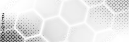 Abstract White Gray background. Blur neutral backdrop. Lecture, seminar, symposium, workshop, conference or briefing presentation template. White vector illustration