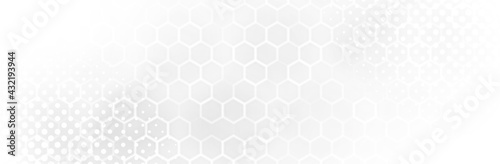 Abstract White Gray background. Blur neutral backdrop. Lecture, seminar, symposium, workshop, conference or briefing presentation template. White vector illustration