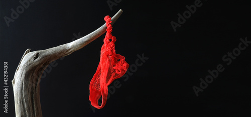tanga rojo colgado de una rama seca lencería de mujer sobre fondo negro 4M0A0615-as21 photo