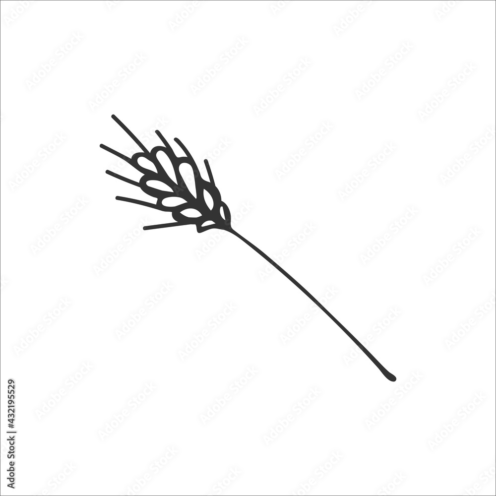 Hand-drawn spikelet of wheat isolated on white background. Symbol of gratitude, harvest in Christianity. Religion and Christianity. Vector illustration