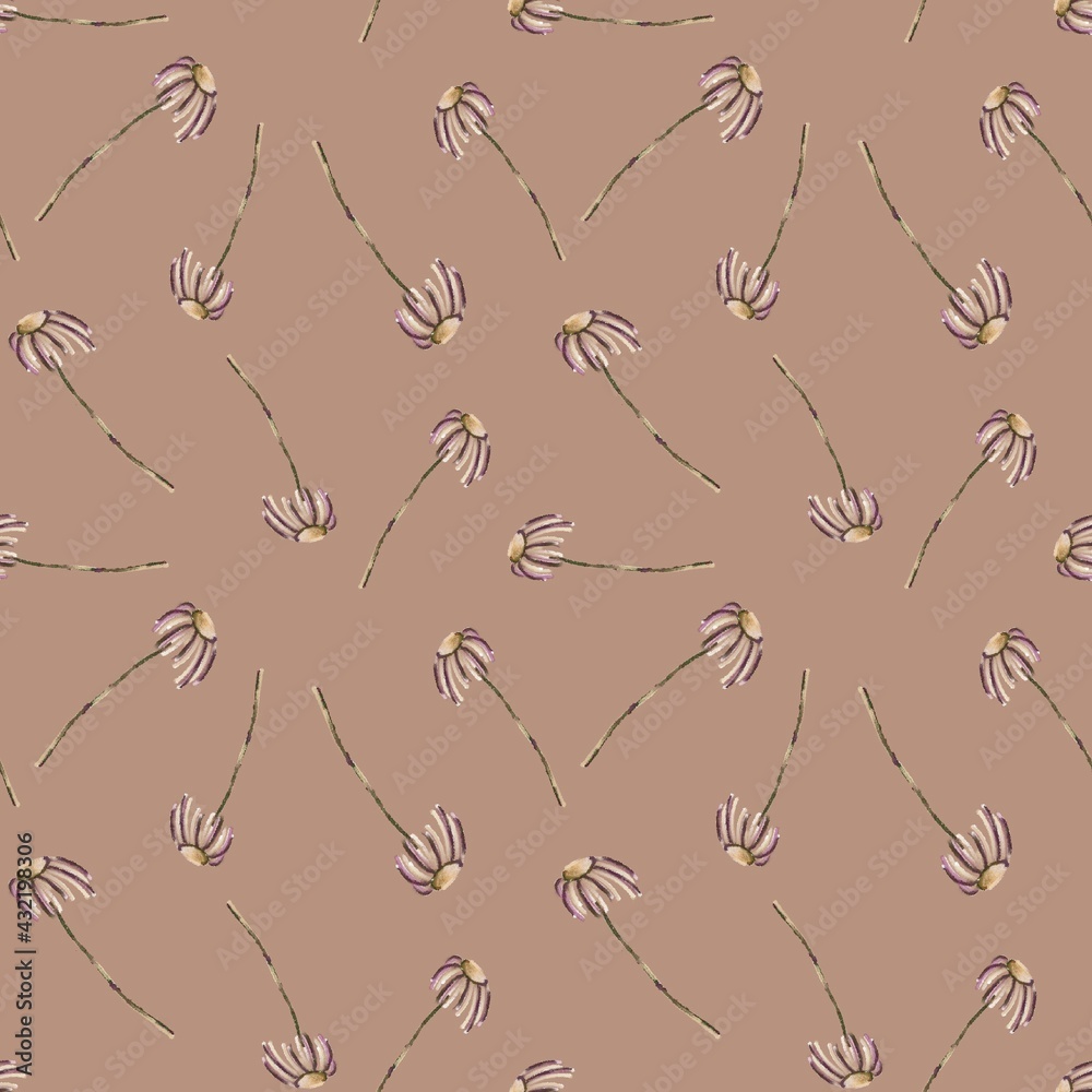 Floral seamless pattern. Chamomiles on brown background. Hand drawn