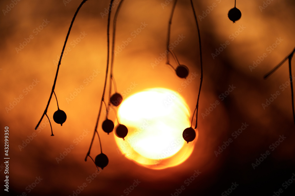 Dramatic sunset sky - abstract photo