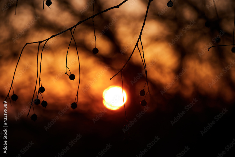 Dramatic sunset sky - abstract photo