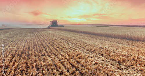 Harvesting grain in an agricultural field.  Panorama of the summer landscape with a combine harvester at sunset. Outdoor farming activities. Natural background, wallpaper. Selective, soft focus.