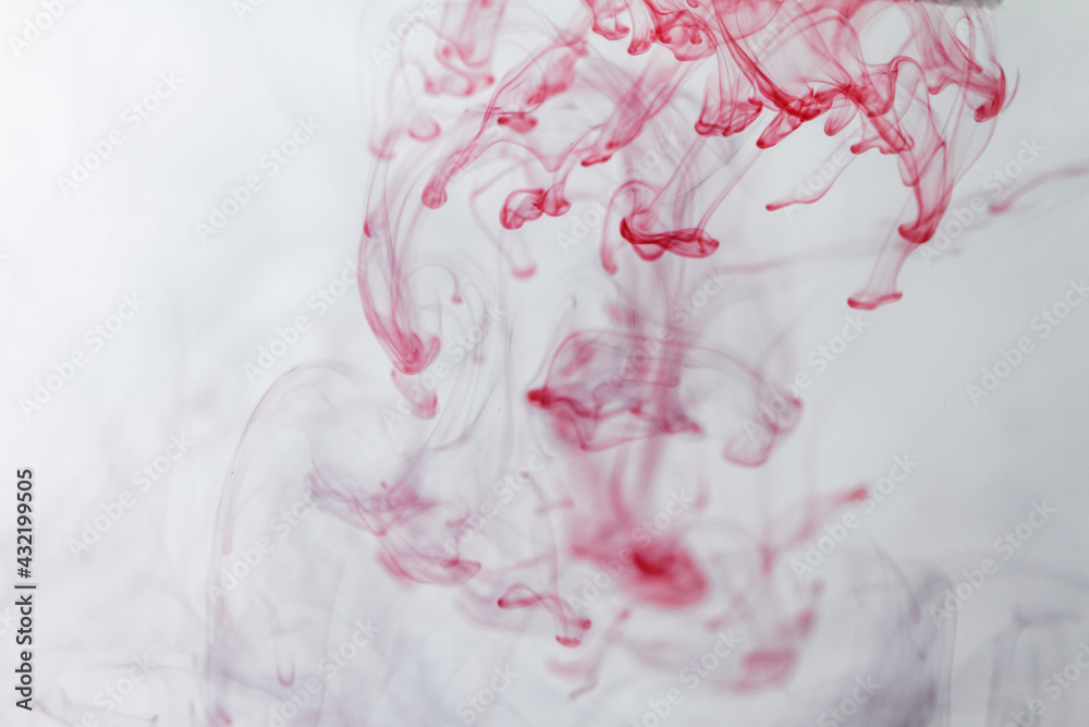Tea bags - macro photo