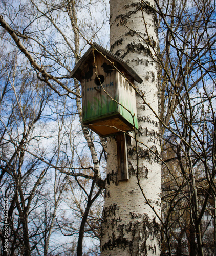 Birdhouse on a tree. Wooden bird house on a tree trunk in a green park outdoors.