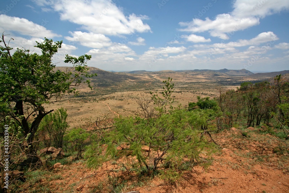 Landscape in the Pilanesberg National Park. Republic of South Africa.