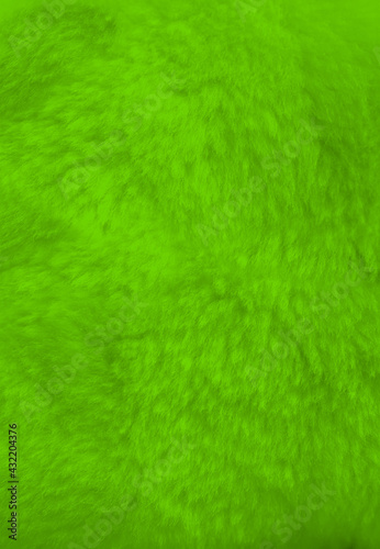 Green fur background close up view.