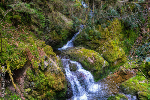 waterfall in the forest