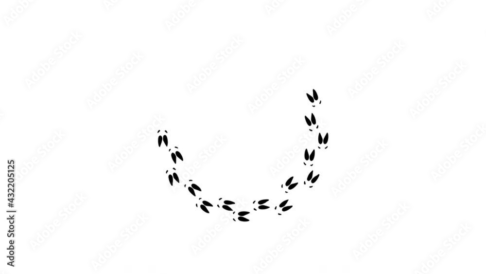 Elk foot prints download loop animation.