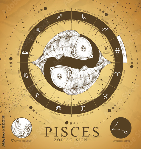 Vintage magic witchcraft card with astrology Pisces zodiac sign. Realistic hand drawing koi fish illustration. Zodiac characteristic
