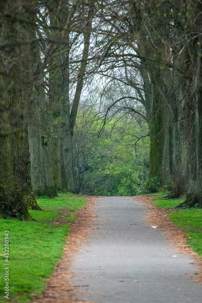 Footpath in a park, Bristol, UK