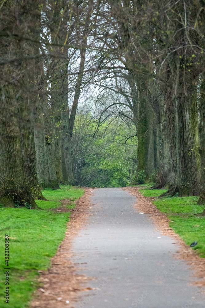 Fototapeta premium Footpath in a park, Bristol, UK