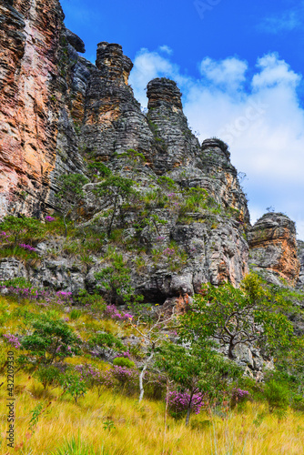 Rock pinnacles and cerrado vegetation on the entrance of the Cânion do Funil canyon, Presidente Kubitschek, Minas Gerais, Brazil