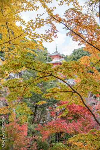お寺の見える秋