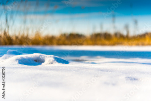 The sun illuminates the snow-covered surface of the forest lake. Close up view of the ground level