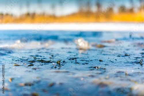 The sun illuminates the frozen surface of the forest lake. Close up view of the ground level