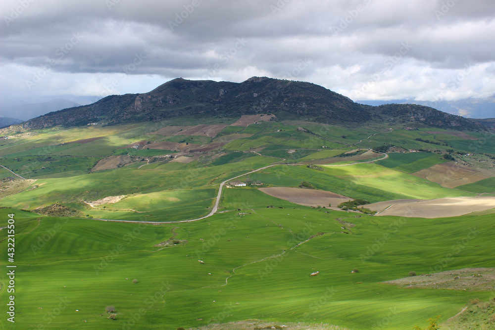 Landscape of the Serranía de Ronda, region of the province of Malaga (Andalusia, Spain)