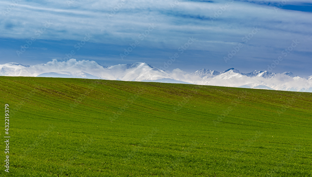 Landscape with a pasture on a hill with big mountains in the background and blue sky. Green pasture with snowy mountains in the backgroud.