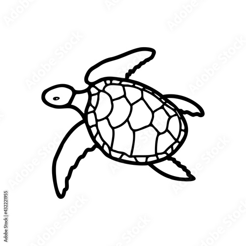 A hand-drawn turtle. Vector icon, doodle illustration. Drawing in a flat style. Coloring book on the sea theme.