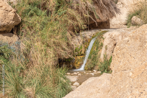 Waterfall in Ein Gedi Nation Park close to the Dead Sea in Israel