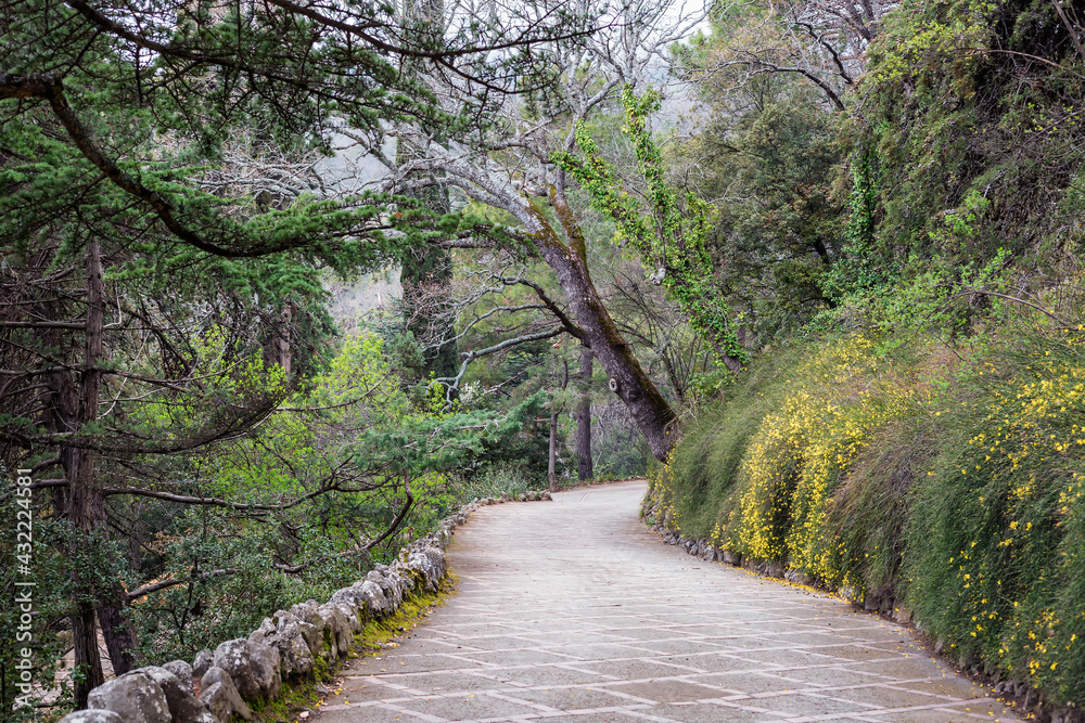 Obraz premium A picturesque alley of the park among bizarre spring vegetation