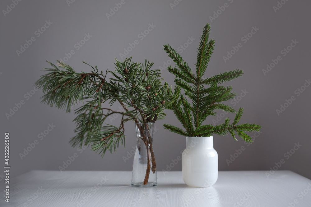 Two vase with bouquet evergreen fir twigs Two vase with bouquet evergreen fir twigs