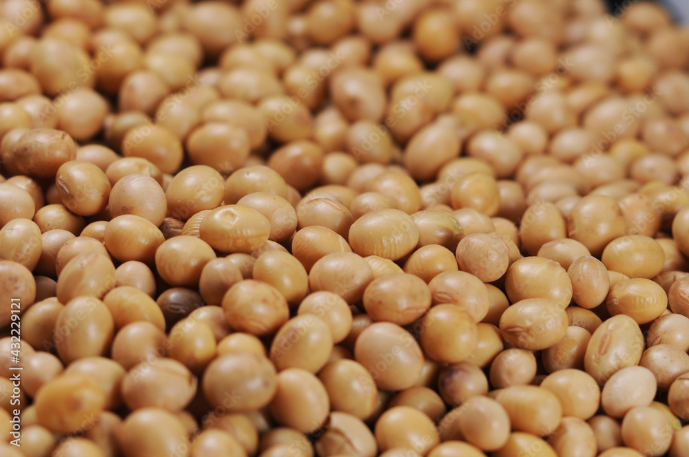 soja, soy, soy beans, amarelo, yellow 