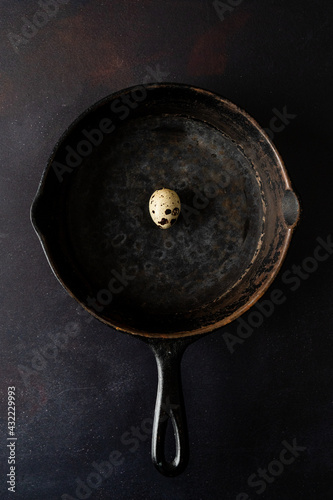 Quale egg in vintage cast iron skillet  photo