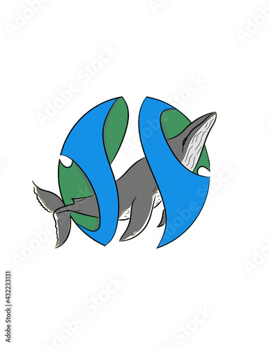 Ballena G pdf