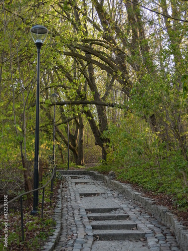 Paved lane with green shrubs, horse chestnut trees and lanterns, Biskupia Górka, Gdańsk, Poland photo