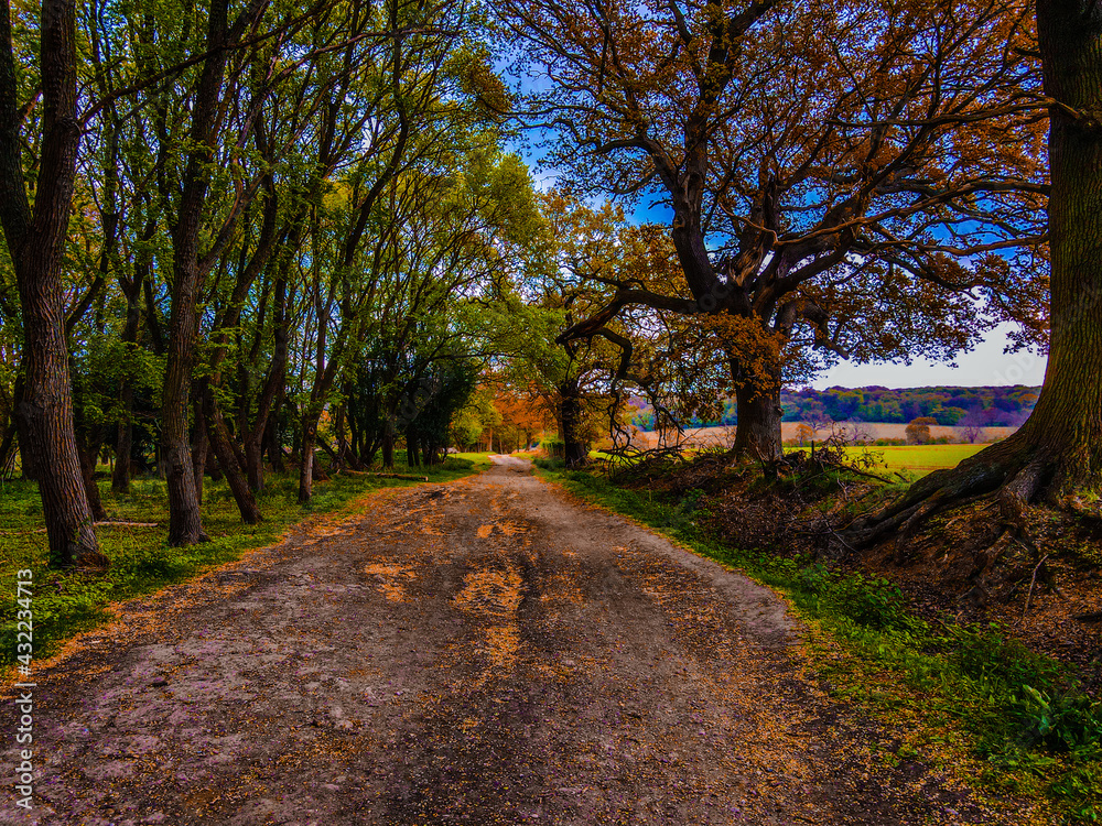 Obraz premium default