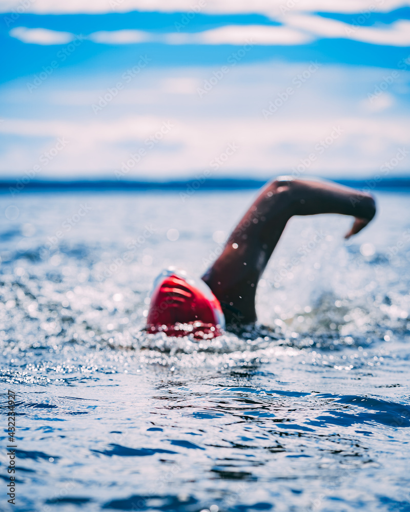 swimmer in the water