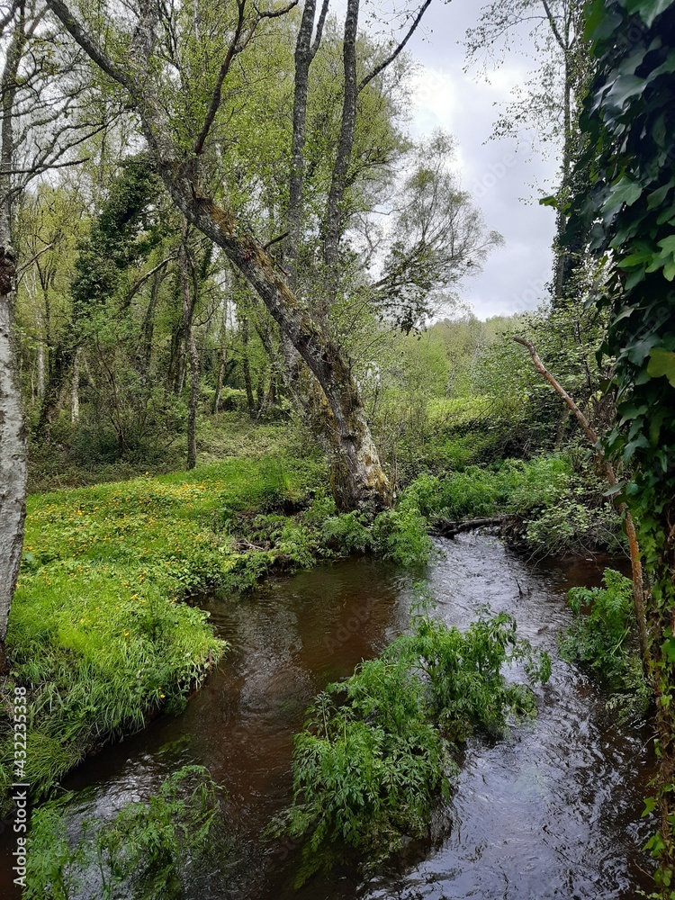 Fototapeta premium Curso fluvial del río Fabilos en uno de sus tramos en Vilalba, Galicia