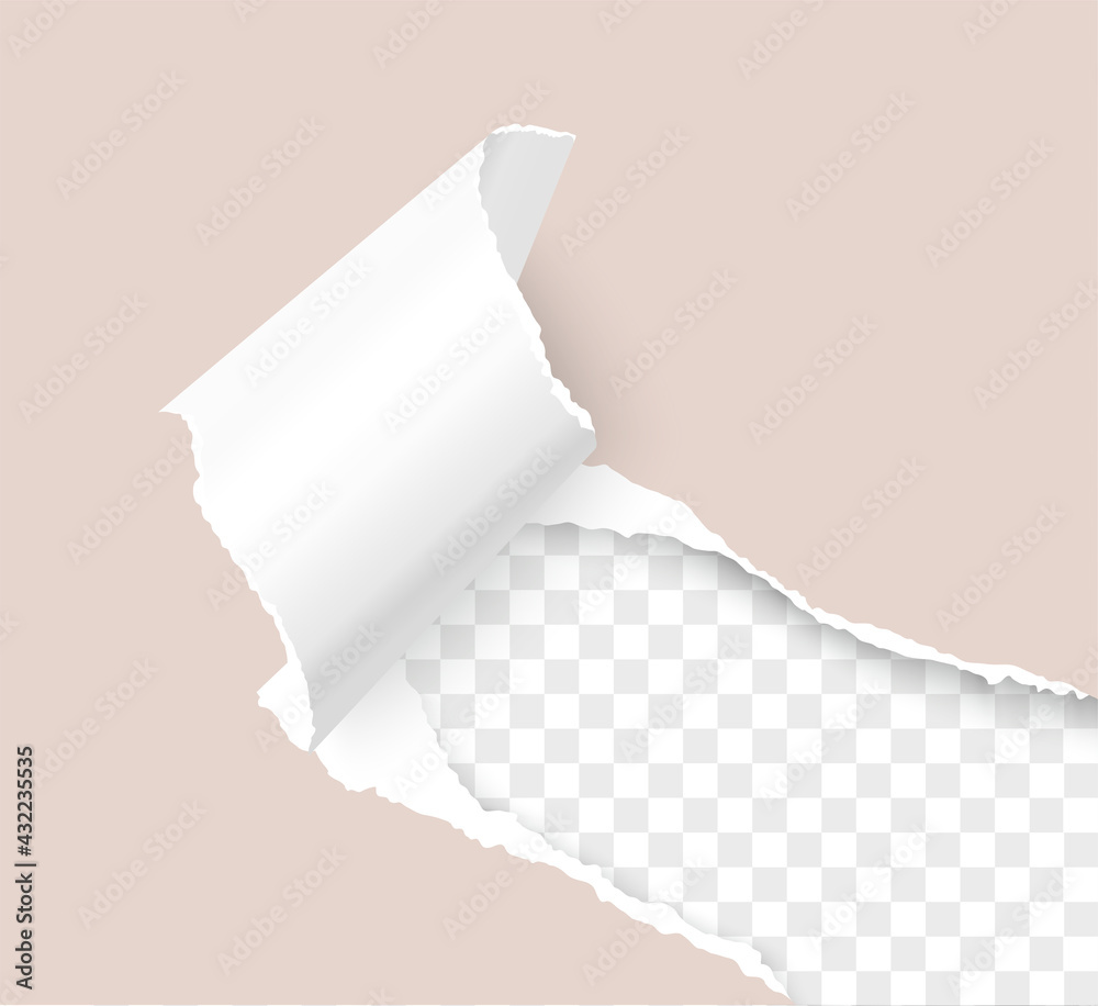 Torn Paper Corner Realistic Vector 3d Template Over Transparent Background Stock Vector Adobe Stock