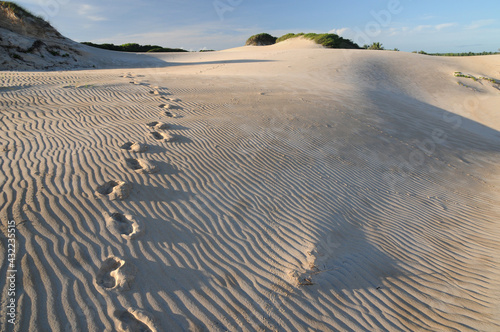 Pegadas na areia da praia e dunas de Itaunas, Espírito Santo, Brasil, 