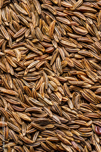 Closeup of caraway seed photo