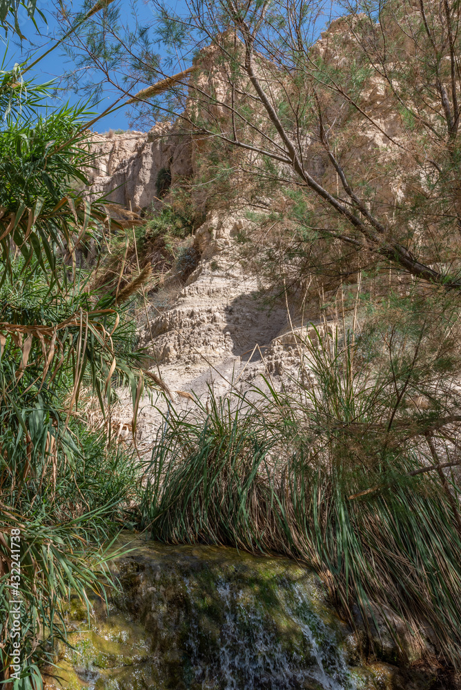 Clear stream in Ein Gedi National Park close to the Dead Sea in Israel
Clear stream in Ein Gedi National Park close to the Dead Sea in Israel