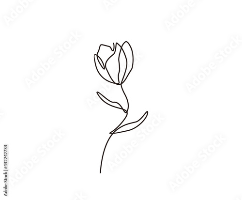 Continuous one line drawing of tulip flower. single line flower design. Hand drawn minimalism style.