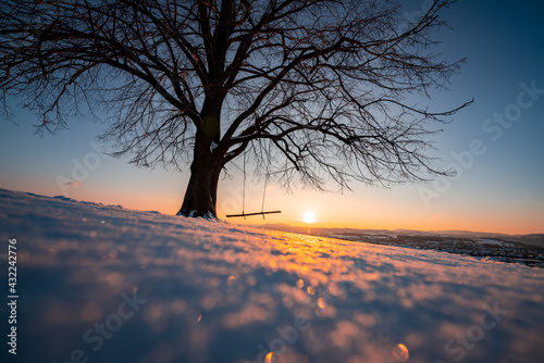 Sonnenuntergang an einem Baum mit Schaukel im Winter